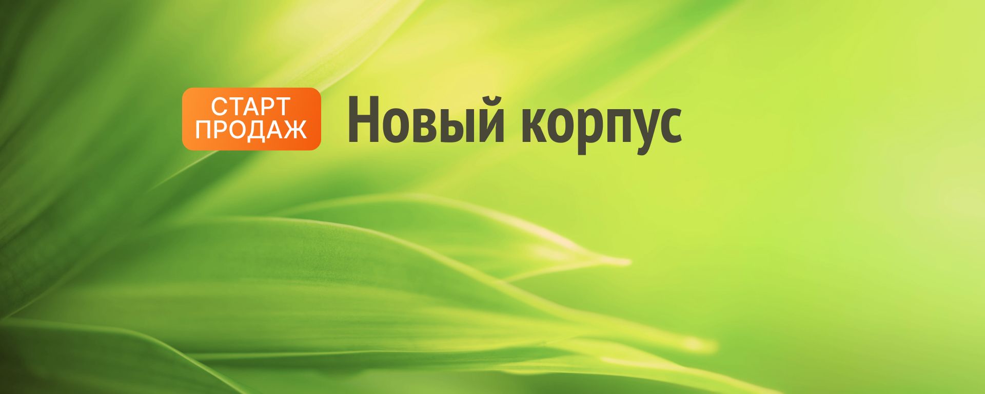 <strong>Комфорт+<br>Лесная Отрада (2-я очередь)</strong>