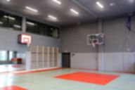 jj6a2369.jpg