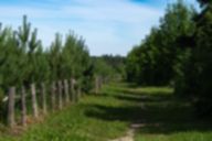 nik-ns-06-2026-_084-of-229_.jpg