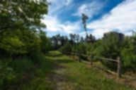 nik-ns-06-2026-_093-of-229_.jpg