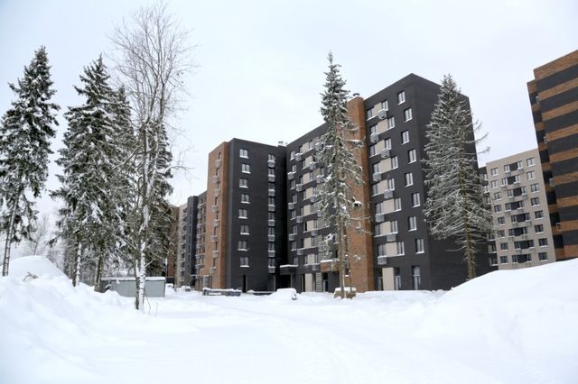 Январь - ход строительства Лесной Отрады (1-я и 2-я очереди)